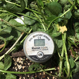 Blumat Digital Moisture Meter Kits by Sustainable Village - product image 6 for Resin Society