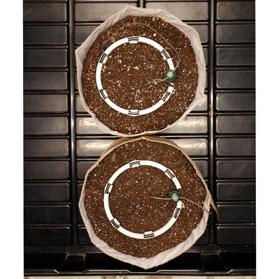 Preset Blumat Grow Tent Irrigation Kit by Sustainable Village - product image 15 for Resin Society