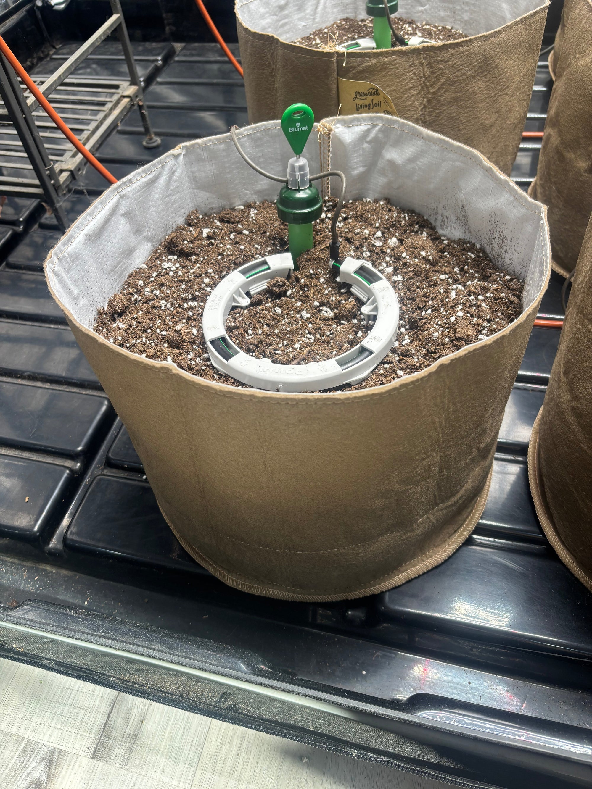 Preset Blumat Grow Tent Irrigation Kit by Sustainable Village - product image 20 for Resin Society