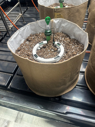 Preset Blumat Grow Tent Irrigation Kit by Sustainable Village - product image 20 for Resin Society