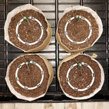 Preset Blumat Grow Tent Irrigation Kit