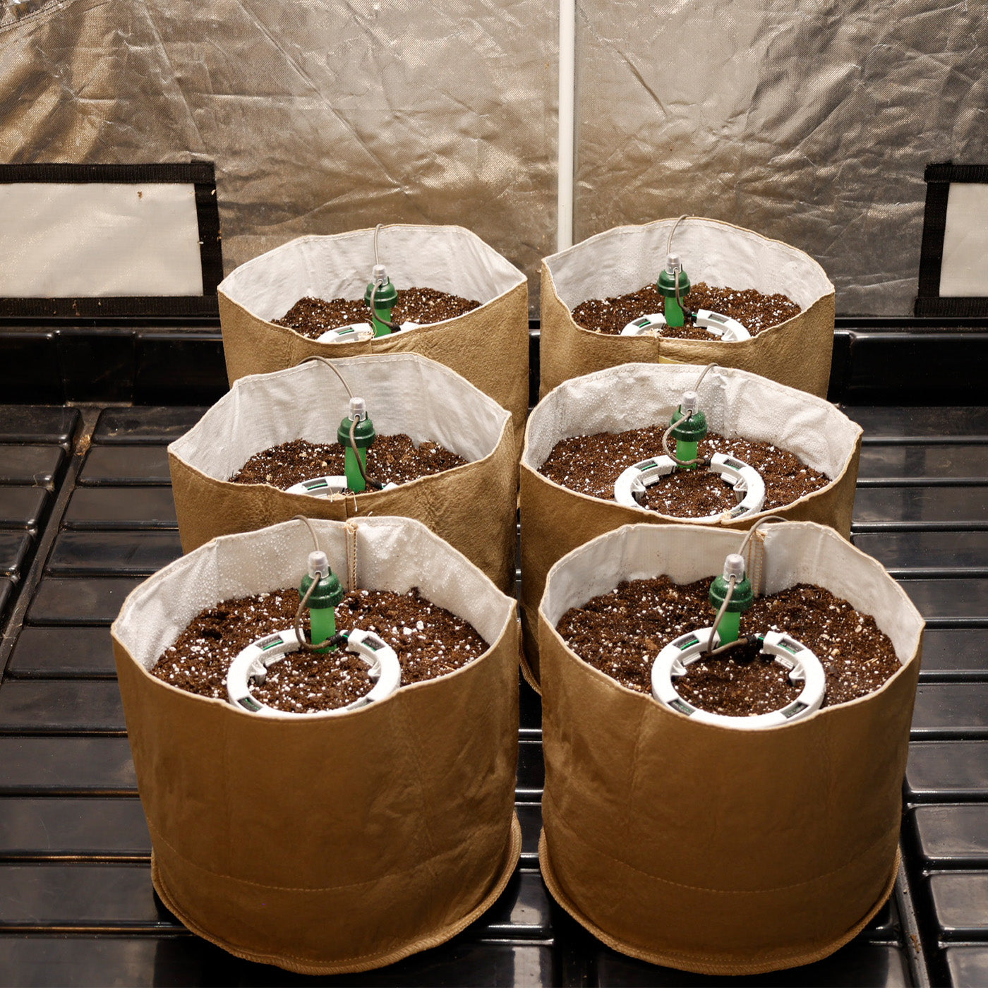 Preset Blumat Grow Tent Irrigation Kit by Sustainable Village - product image 16 for Resin Society