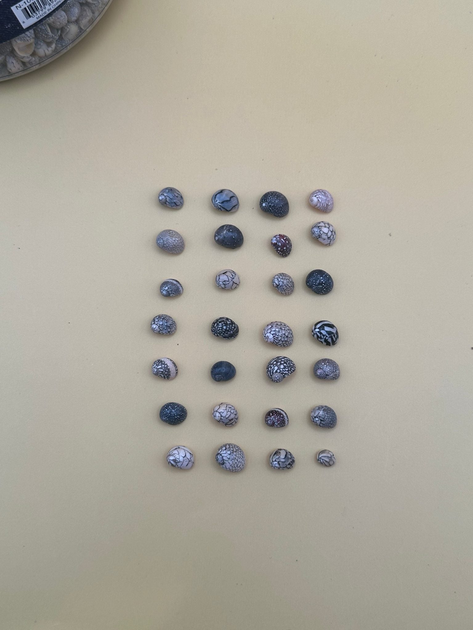 Set of 10 mixed micro Nerita shells in reds, pinks, black, white, and cream colors with unique natural patterns