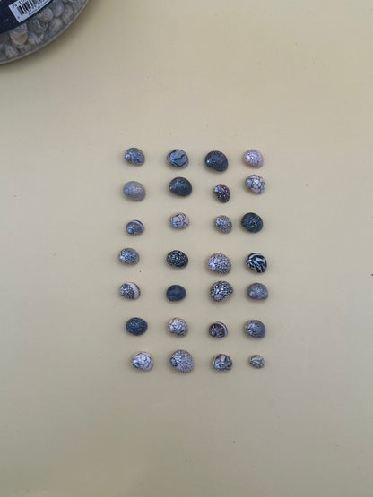 Set of 10 mixed micro Nerita shells in reds, pinks, black, white, and cream colors with unique natural patterns