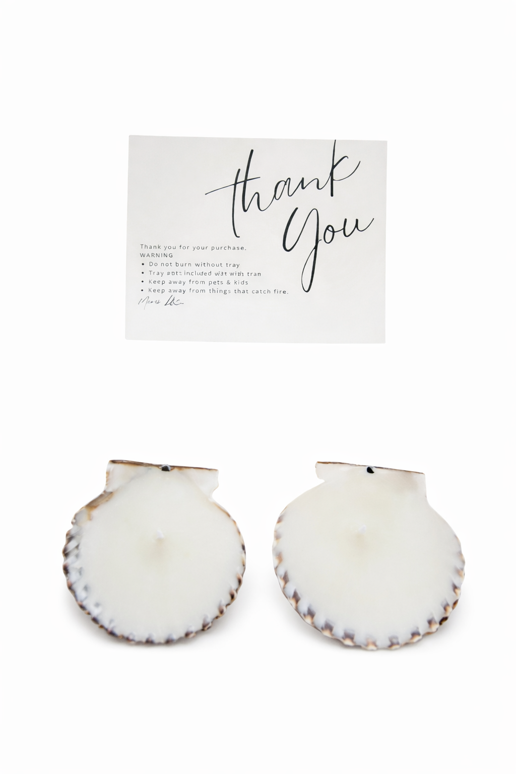 Two scallops decorative piece with gingerbread scent by MARIS LLC