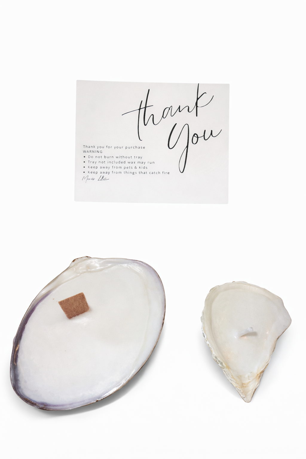 Mini mixed assortment of oyster and quahog shells