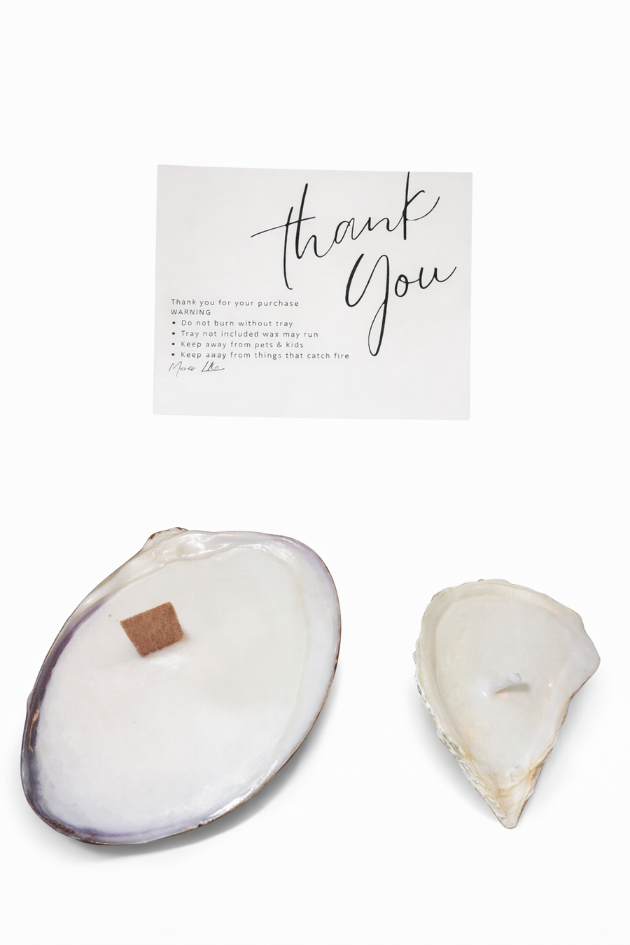 Mini mixed assortment of oyster and quahog shells