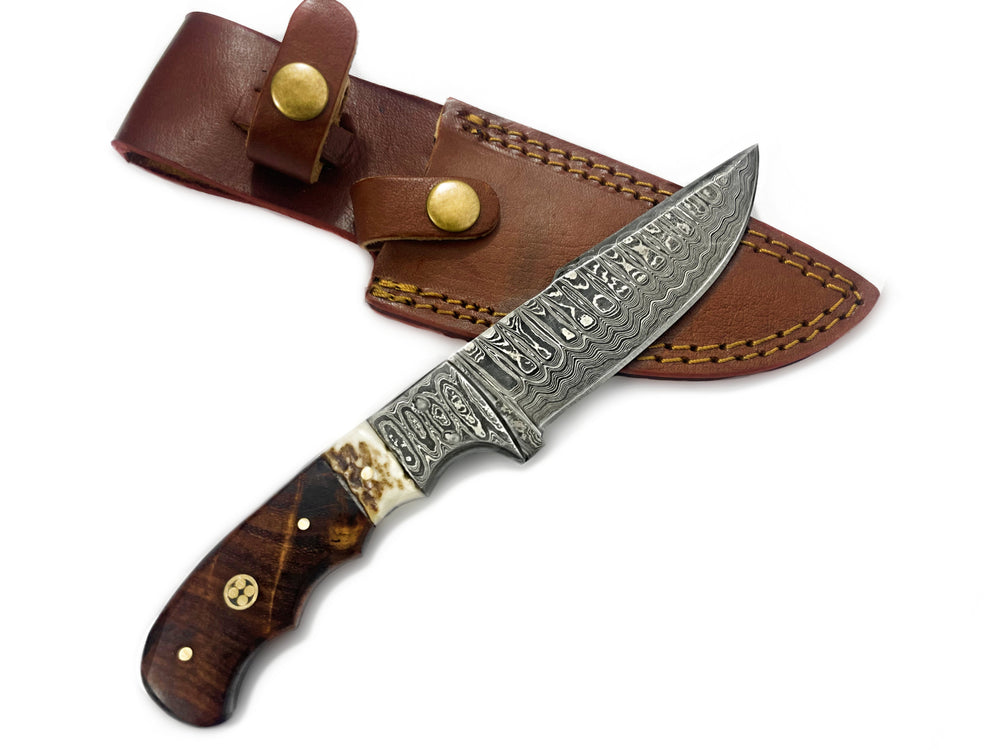 Damascus Steel Fixed Blade Knife with Walnut & Stag Horn Handle Hunting Knife TD-159 laying on a wooden surface
