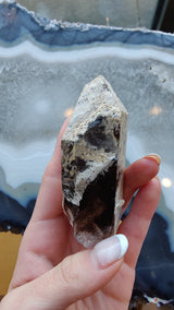 Hand holding a smoky quartz point with lodalite inclusions, showing dark and light mineral patterns, against a backdrop of a polished agate slab with concentric blue and white bands.