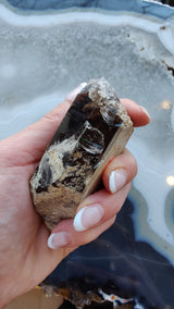 Hand holding a smokey quartz crystal point with lodalite inclusions, featuring dark brown and beige earthy patterns against a polished agate surface background.