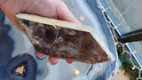 Hand holding a polished smokey quartz crystal point with dark inclusions and a glossy surface, shown over a blurred stone slab with blue-gray and white concentric patterns.
