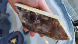 Hand holding a polished smoky quartz crystal point with visible lodolite inclusions, showing brown and cream tones with a translucent, glossy surface.