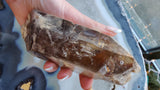 Hand holding a large double-terminated smoky quartz crystal with visible lodolite inclusions, showing brown and translucent areas under natural light near a window.