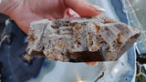 Hand holding a rough, elongated smoky quartz point with lodalite inclusions, featuring layered textures and earthy gray, brown, and amber hues.