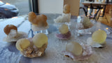Eight translucent fluorite mineral spheres in pale yellow to brown shades, each resting on rough quartz matrix with varied crystalline textures on clear stands indoors.