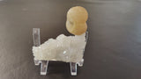Yellowish fluorite spherical formation resting on a cluster of white, sparkly quartz crystals displayed on a clear plastic stand against a dark background.