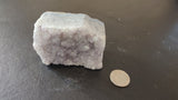 Small Brazilian amethyst druzy with pale purple crystals partially covering a rough, light gray base, placed next to a coin for size comparison on a dark surface.