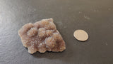 Small Brazilian amethyst druzy cluster with light purple and brownish crystalline surface, shown next to a coin on a dark textured background for size reference.