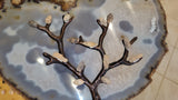 Fossilized pine cone branch with dark brown woody texture and beige cones, displayed on a polished translucent gray and white agate slab with wavy bands.