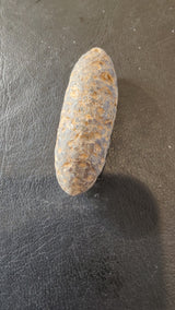 Fossilized pine cone with rough, textured surface featuring shades of brown and gray, resting on a textured dark brown material background.
