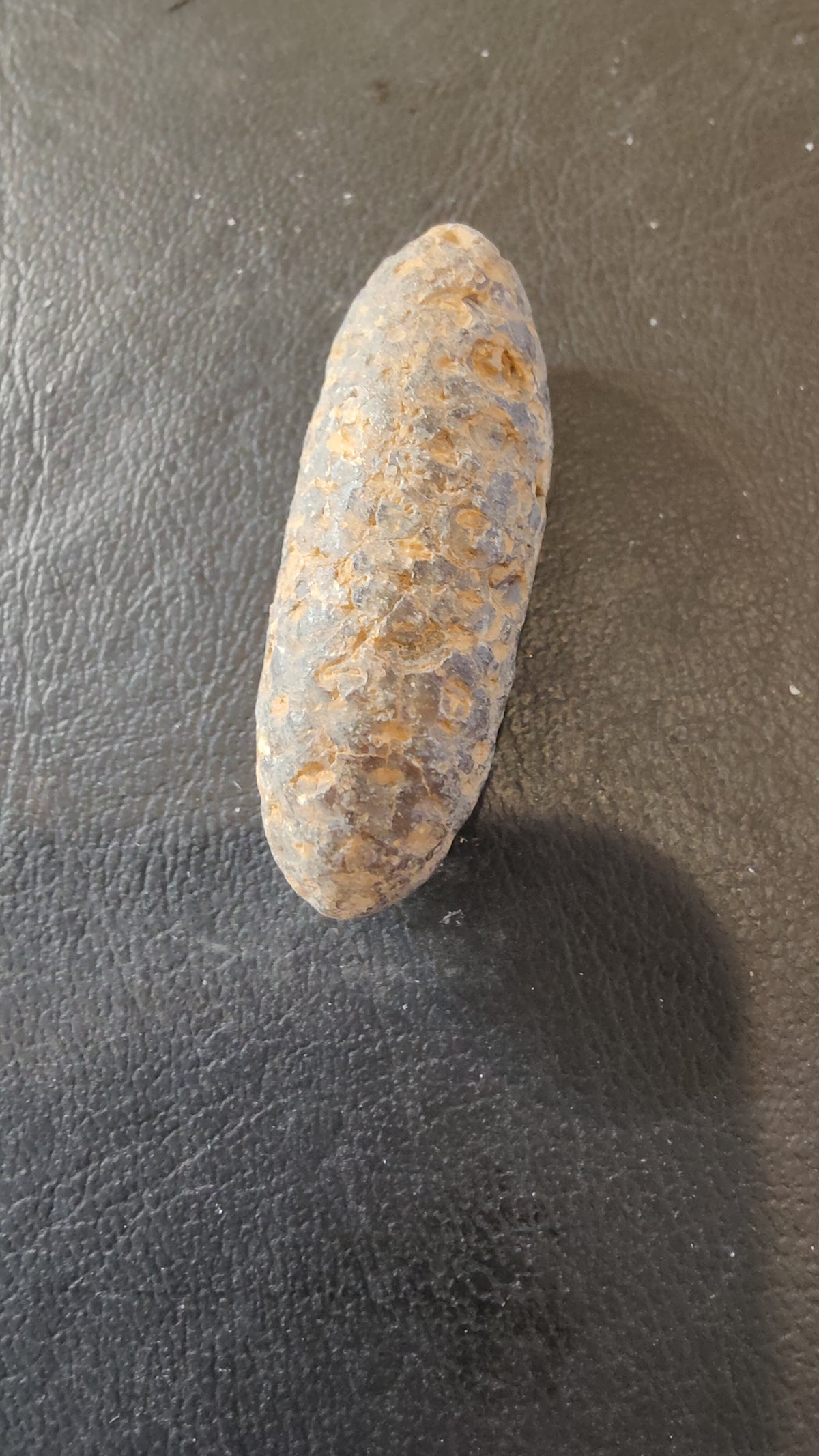 Fossilized pine cone with rough, textured surface featuring shades of brown and gray, resting on a textured dark brown material background.
