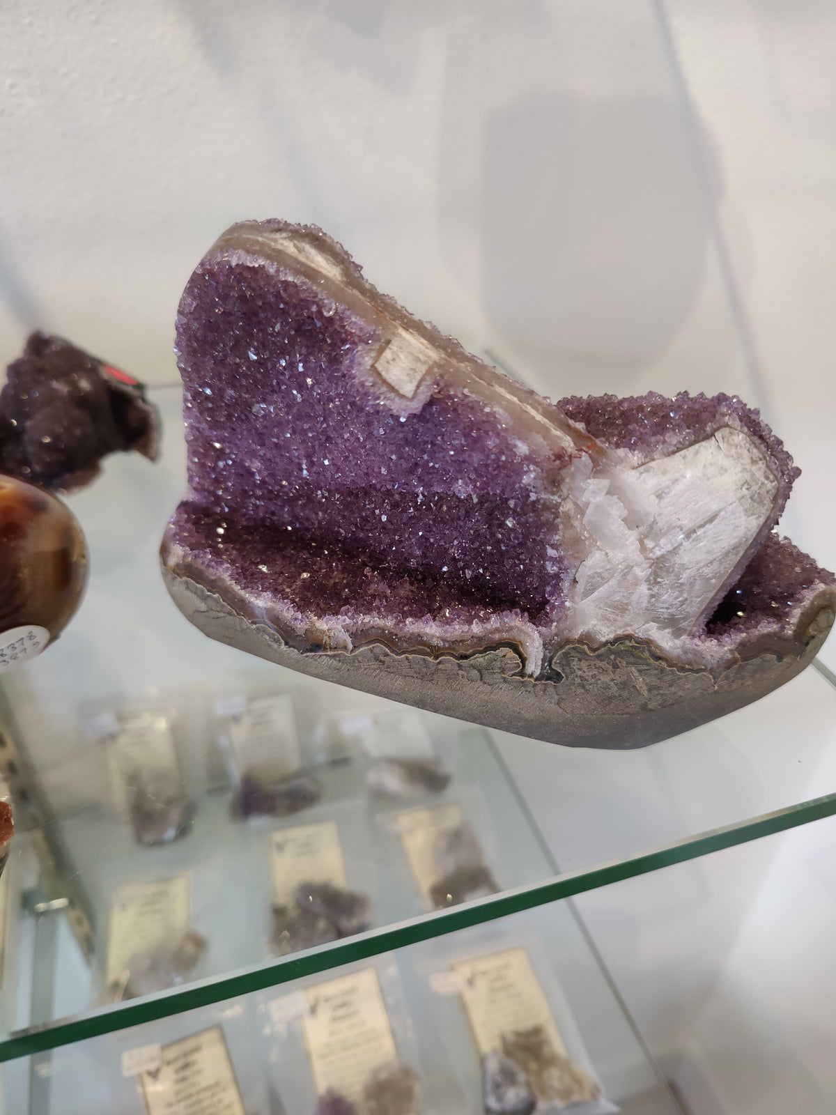 Amethyst geode displaying deep purple crystals inside a rough gray outer shell, positioned on a glass shelf with informational cards visible below.