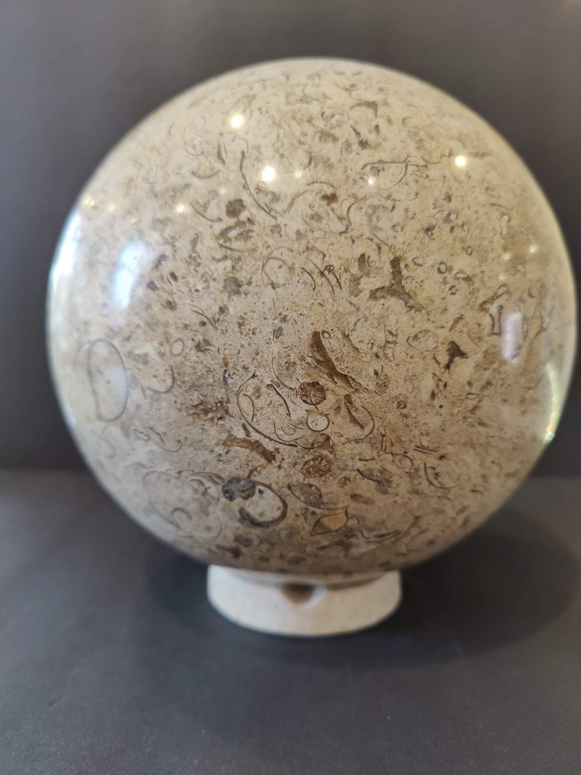 8-inch fossil coral sphere on a cast iron display stand showing intricate light brown cellular patterns