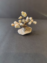 Small bonsai tree sculpture with cream-colored crystal clusters as leaves, mounted on a rough white rock base, set on a gray surface with dark background.
