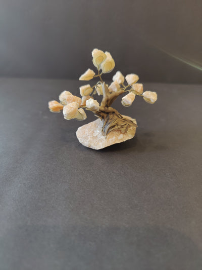 Crystal Bonsai Tree Sculpture