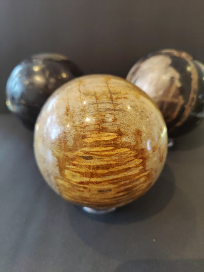 Petrified Wood Sphere