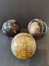 Three polished petrified wood spheres with unique swirling patterns in shades of brown, beige, and black, arranged on a dark surface.