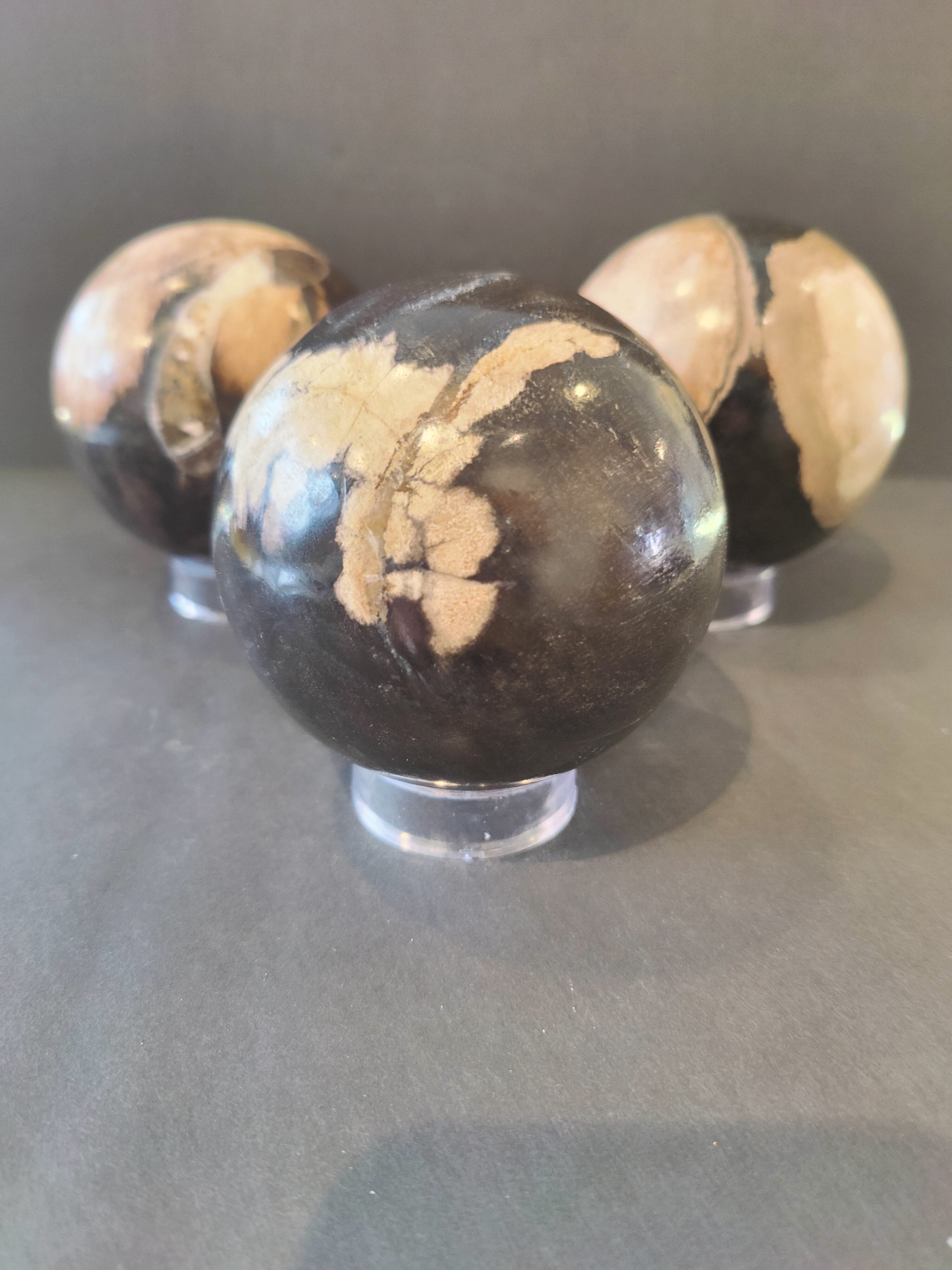 Close-up photo of a polished petrified wood sphere showing layered textures and earthy colors