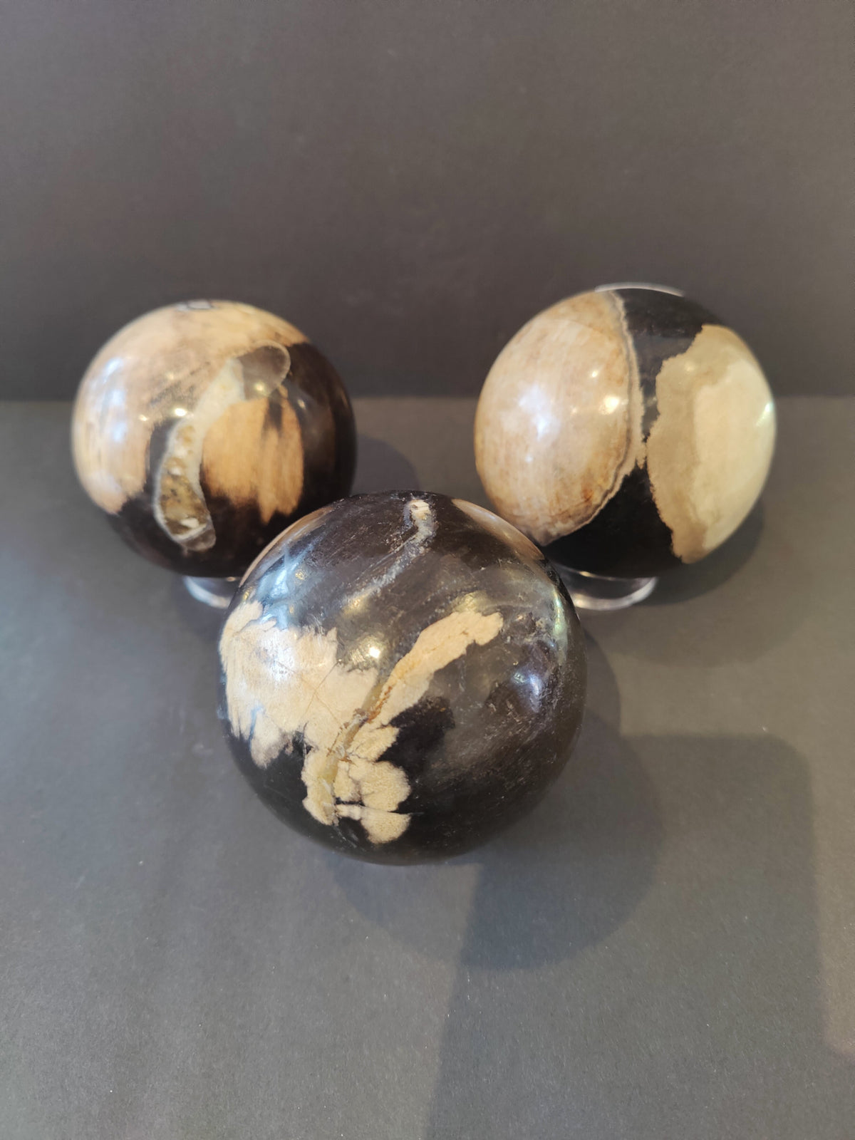 Three polished petrified wood spheres with creamy beige and dark brown patches, arranged on a gray surface against a dark gray background.