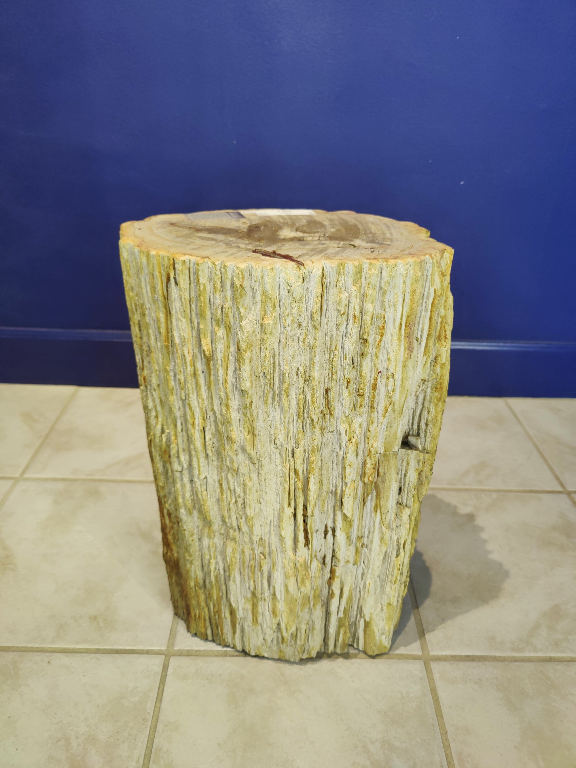Petrified Wood Pedestal by Rare Earth Gallery - main product image for Resin Society