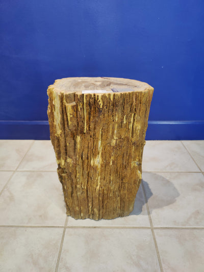 Petrified Wood Pedestal by Rare Earth Gallery - product image 2 for Resin Society