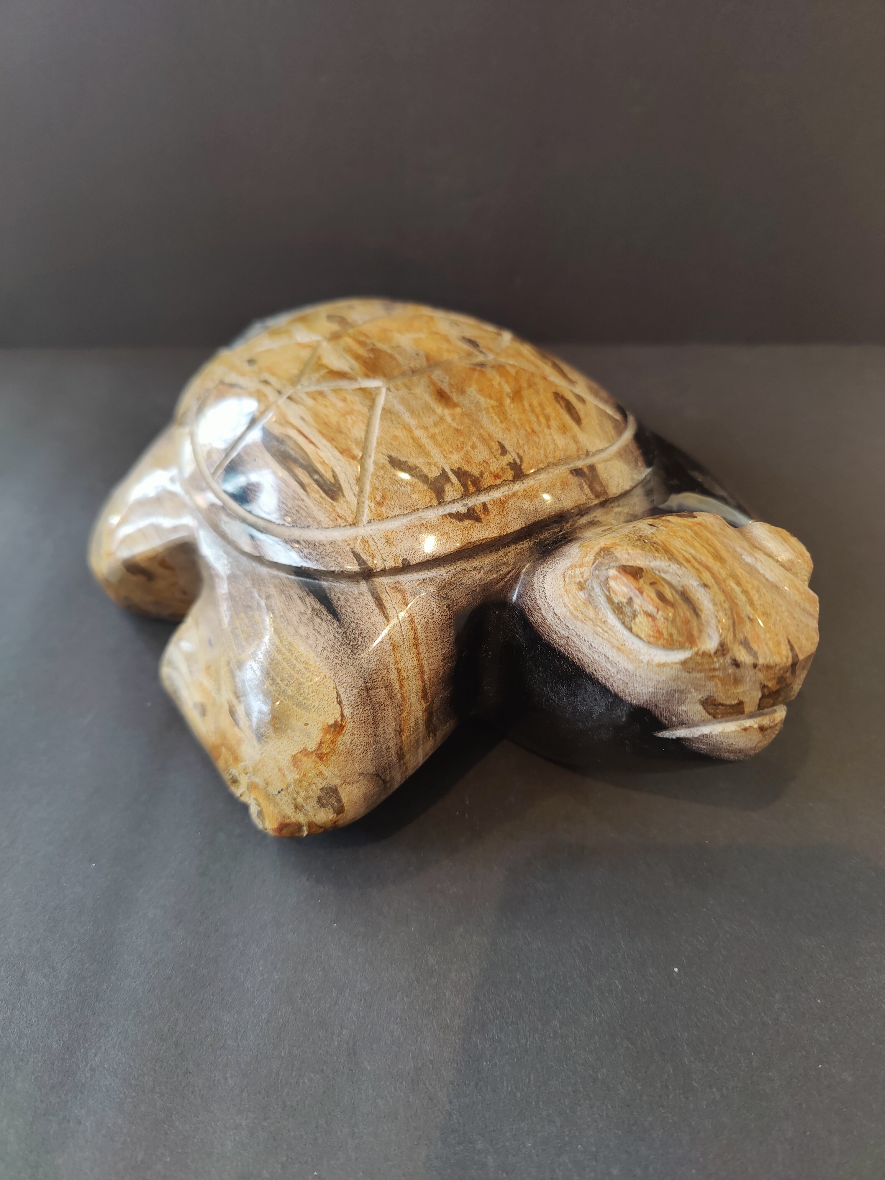 Petrified wood turtle sculpture showing detailed natural wood fossilization and smooth carved surfaces.
