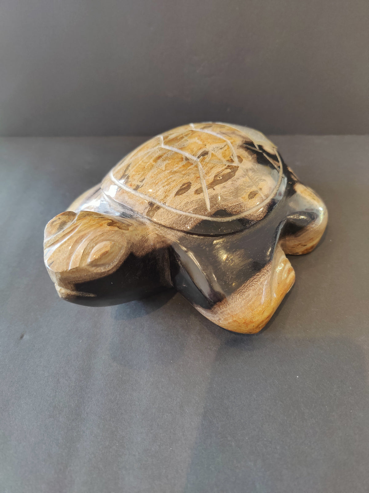 Carved turtle sculpture crafted from petrified wood with visible natural grain patterns and a polished surface, shown against a dark background.