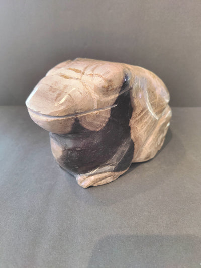 Petrified wood frog sculpture showing fossilized wood texture and earthy patterns