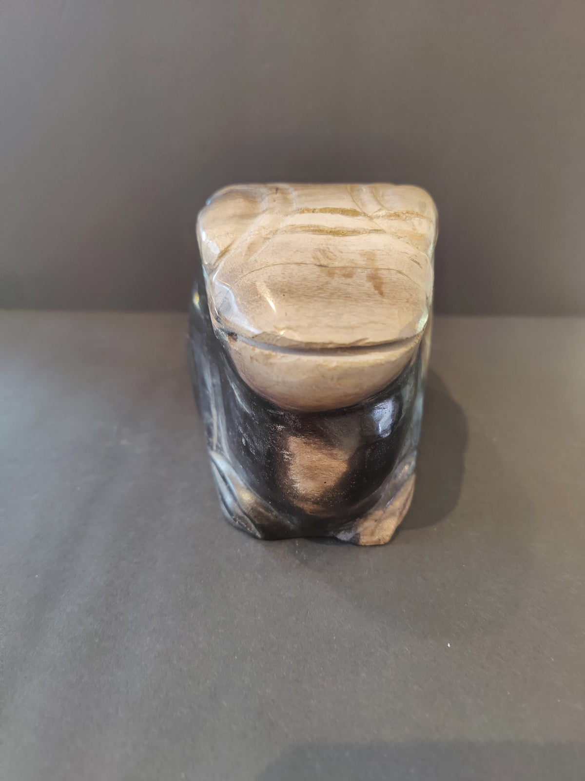 Smooth carved sculpture of a frog made from beige and dark brown petrified wood, shown from a front angle on a gray surface.