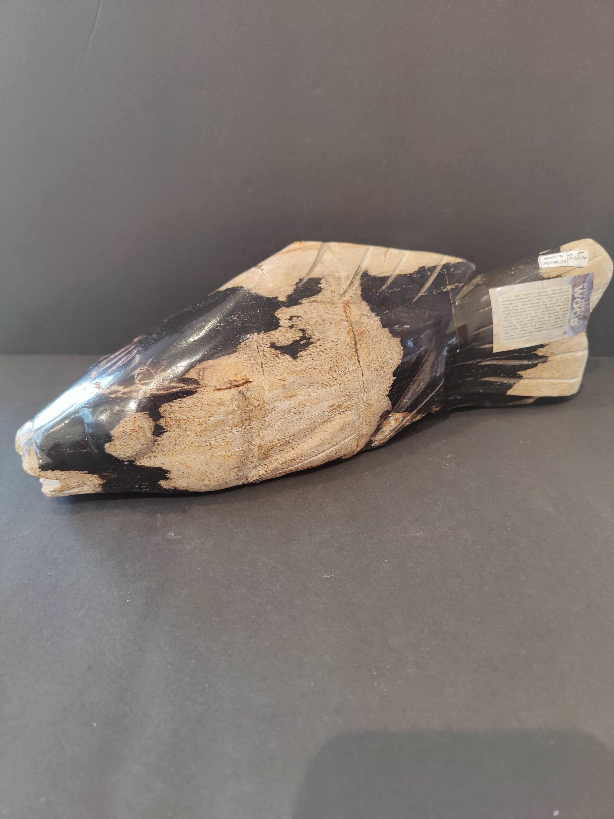 Close-up view of petrified wood fish sculpture showing organic texture and mineral detail