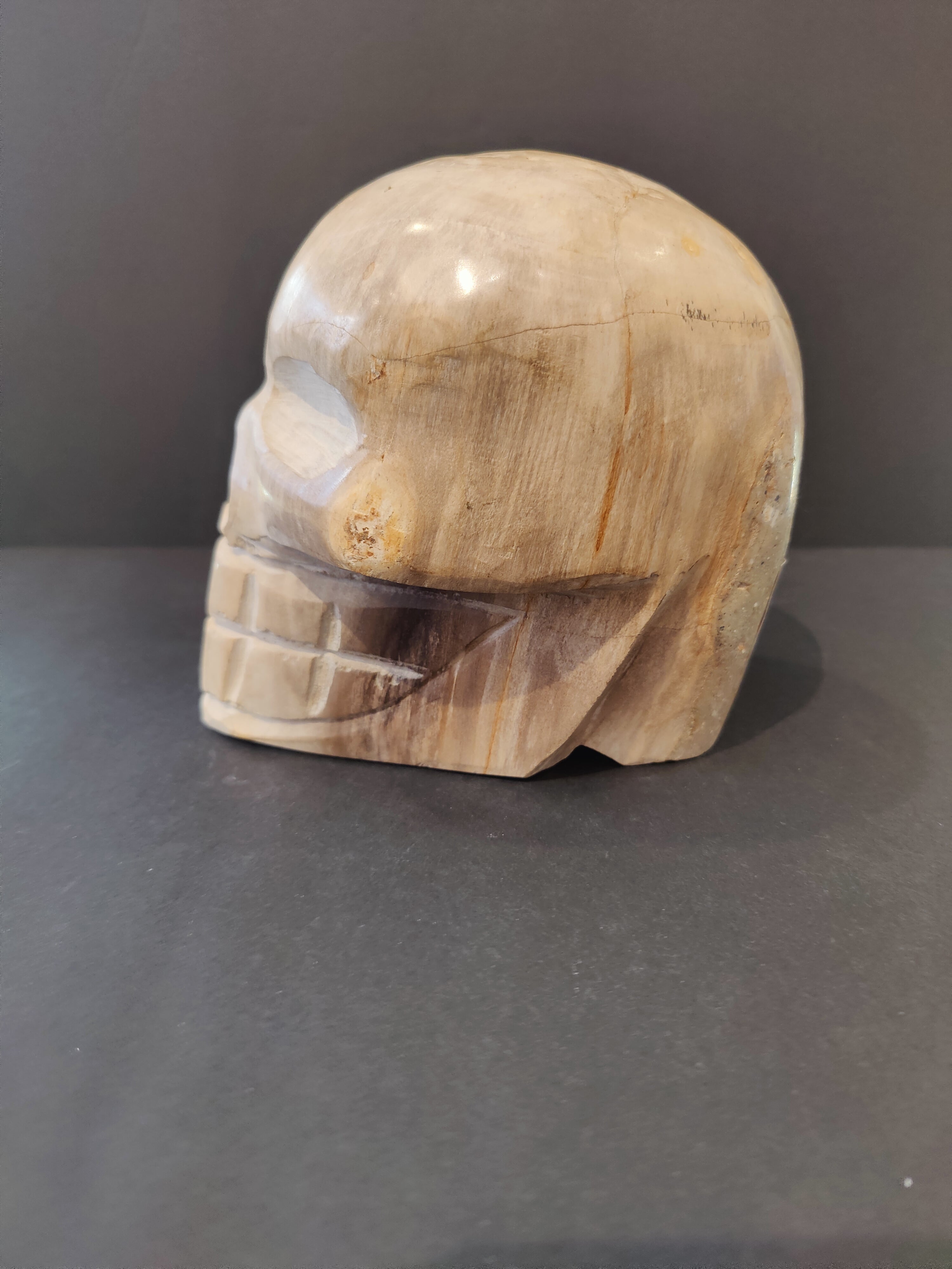 Petrified Wood Skull Sculpture