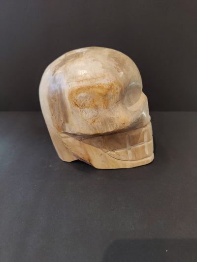 Petrified Wood Skull Sculpture