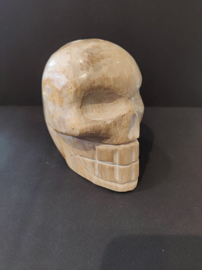 Petrified Wood Skull Sculpture