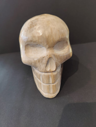 Petrified wood skull sculpture with natural wood grain texture