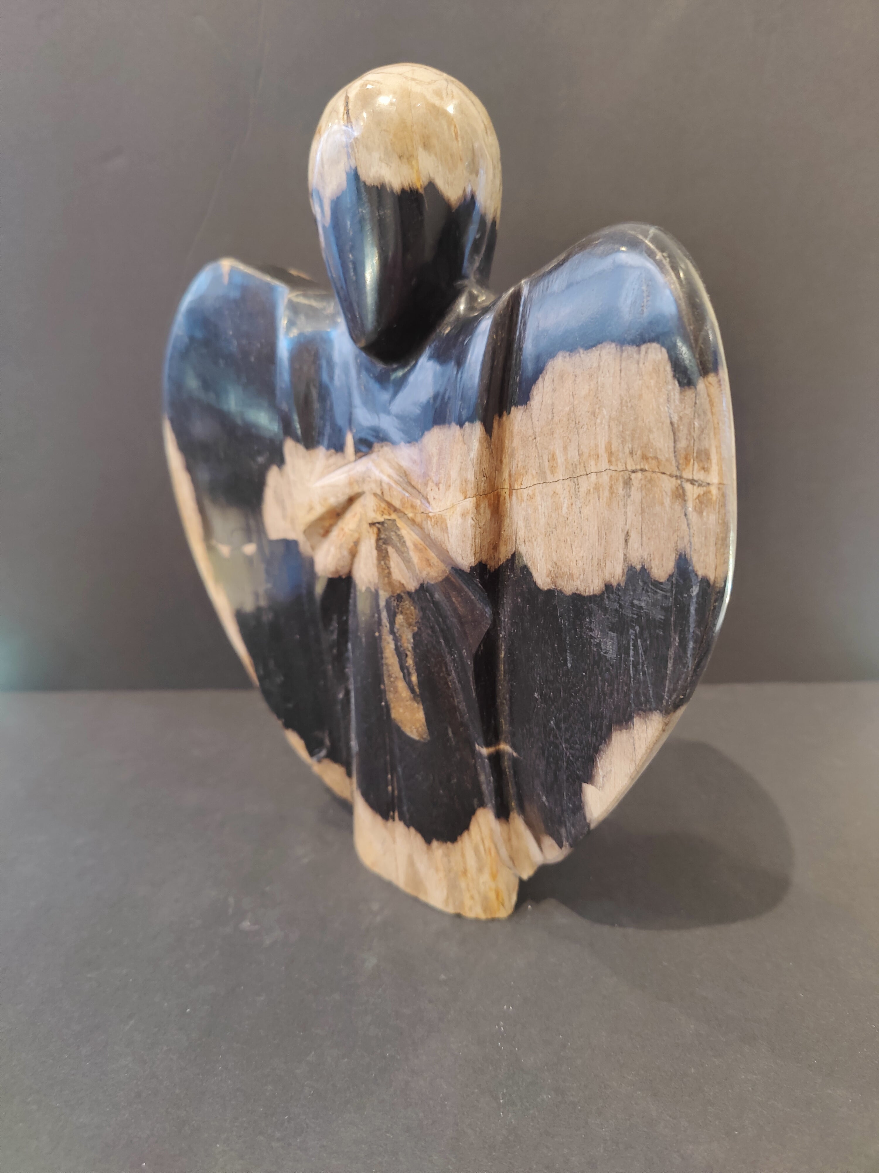 Petrified Wood Angel