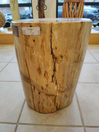 Petrified Wood Pedestal by Rare Earth Gallery - product image 4 for Resin Society