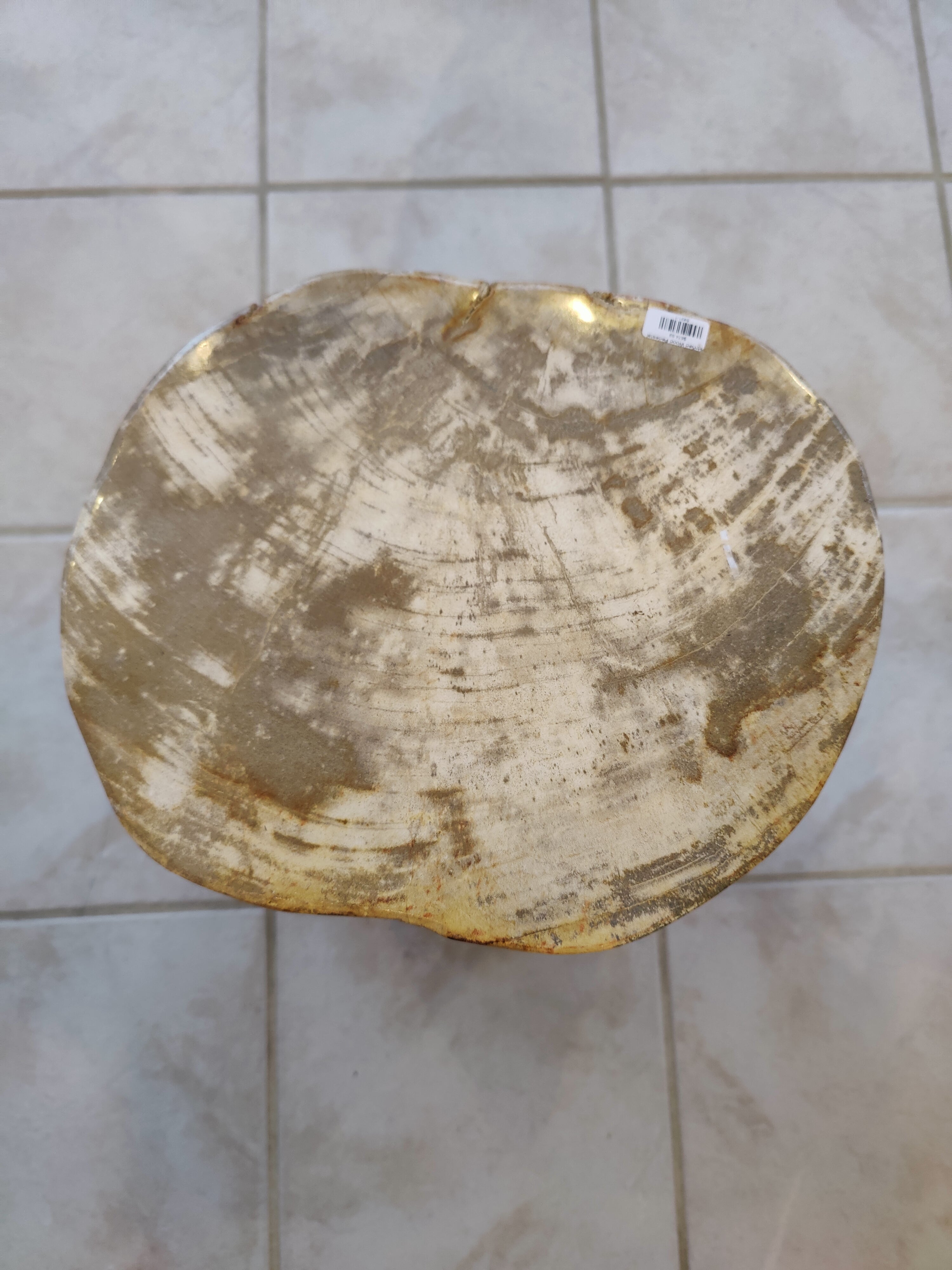 Petrified Wood Pedestal by Rare Earth Gallery - product image 6 for Resin Society