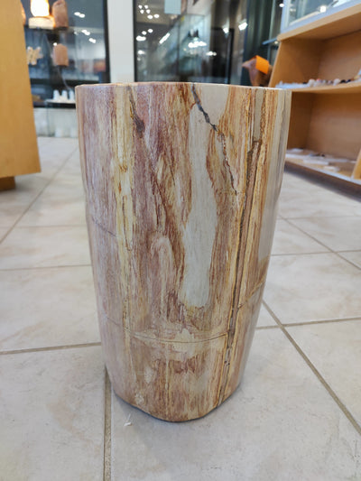 Petrified Wood Pedestal by Rare Earth Gallery - product image 11 for Resin Society