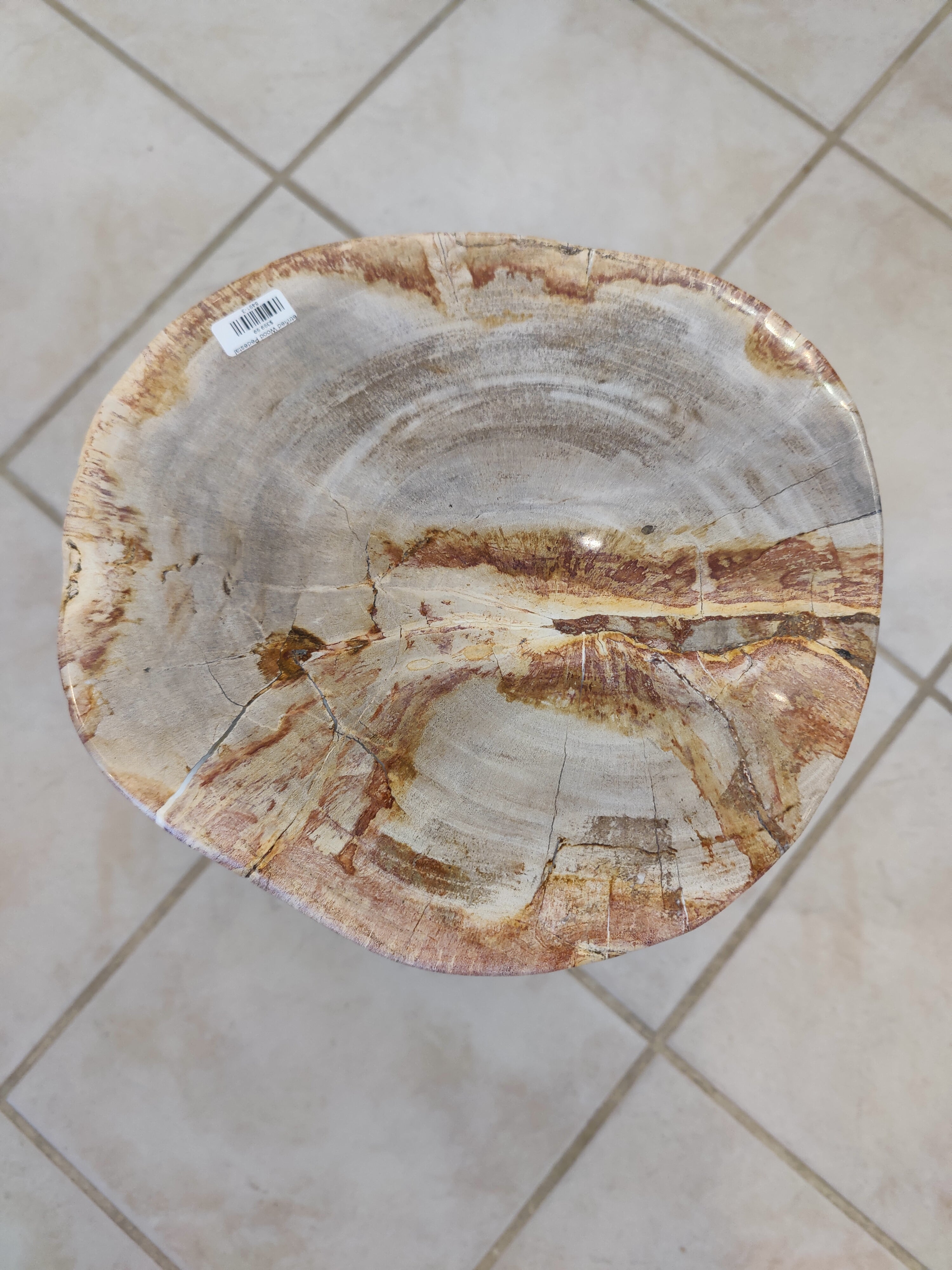 Petrified Wood Pedestal by Rare Earth Gallery - product image 12 for Resin Society