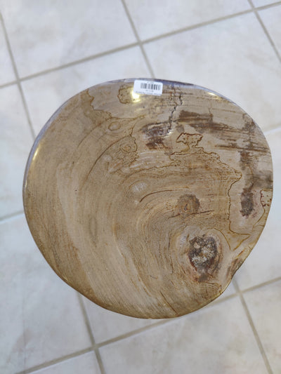 Petrified Wood Pedestal by Rare Earth Gallery - product image 15 for Resin Society